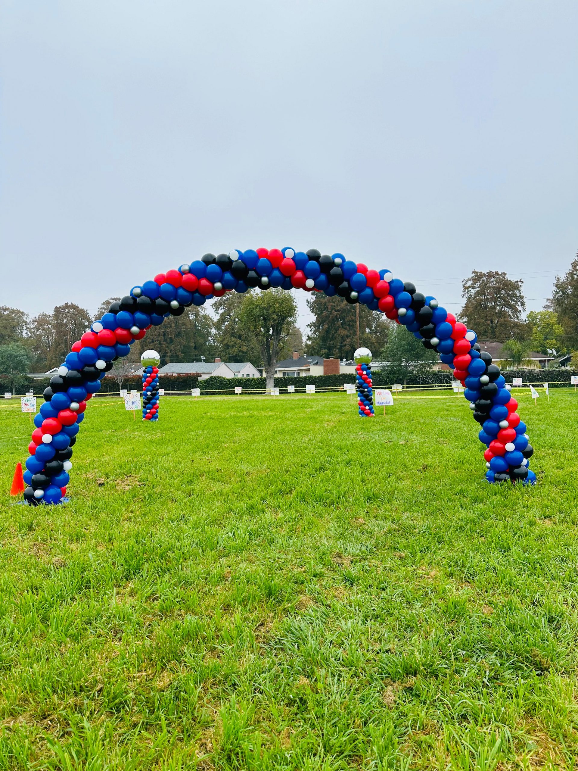 Fancy Nanci Balloons Backdrops & Event Decor gallery image 82